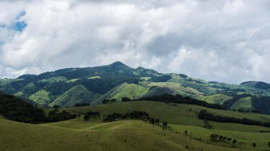 Guanacaste çayırları