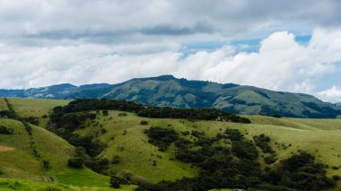 Guanacaste çayırları