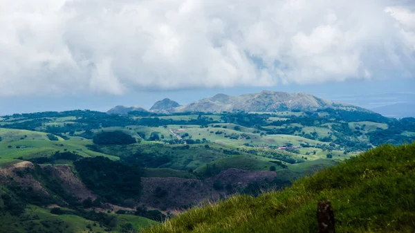 Prati di Guanacaste — Foto Stock