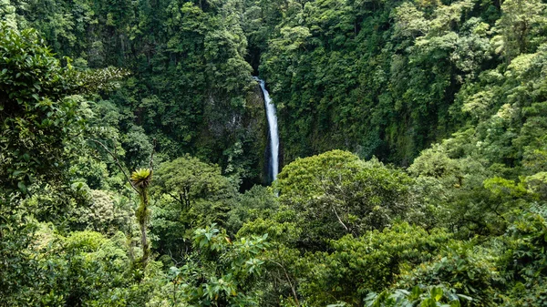 La Fortuna vízesés Jogdíjmentes Stock Fotók