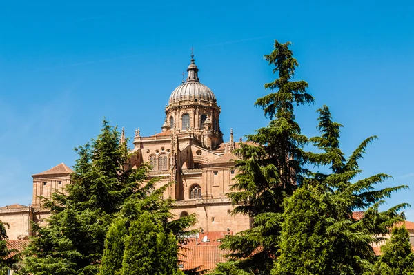 Kathedrale von Salamanca — Stockfoto