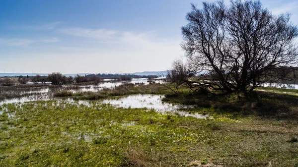 Альберка-де-Альбор — стоковое фото