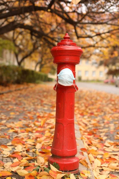 Sonbahar yapraklarının arka planında maskeli kırmızı yangın musluğu