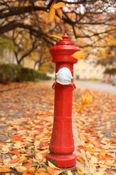 Sonbahar yapraklarının arka planında maskeli kırmızı yangın musluğu