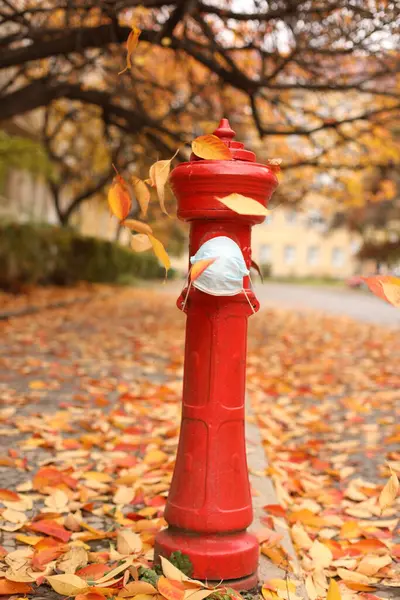 Sonbahar yapraklarının arka planında maskeli kırmızı yangın musluğu