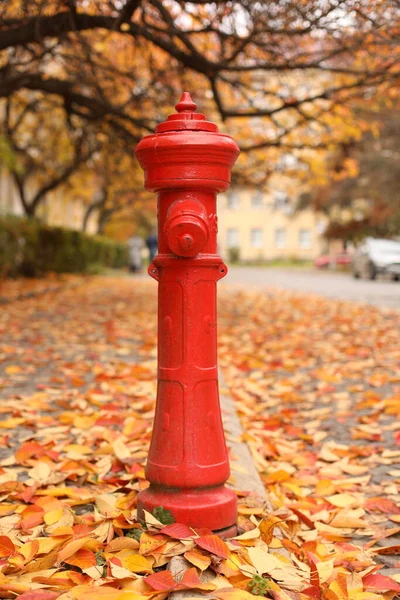 Sonbahar yapraklarının arka planında kırmızı yangın musluğu