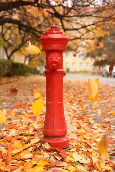 Sonbahar yapraklarının arka planında kırmızı yangın musluğu