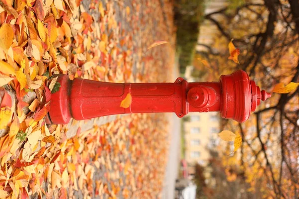 Sonbahar yapraklarının arka planında kırmızı yangın musluğu