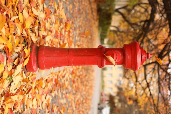 Sonbahar yapraklarının arka planında kırmızı yangın musluğu