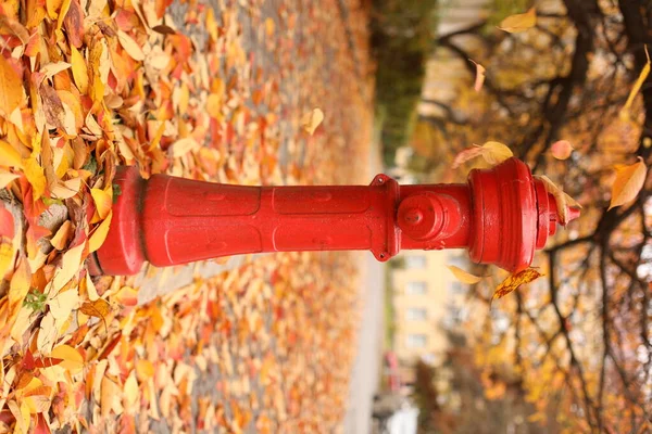 Sonbahar yapraklarının arka planında kırmızı yangın musluğu