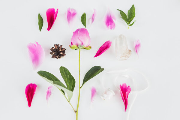 Cute vintage photography with flowers, petals an leaves Flat lay top view.