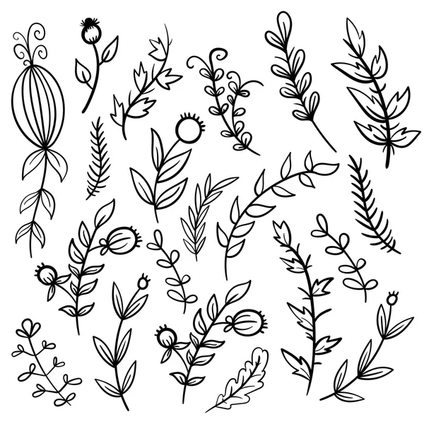 Set hand getrokken doodle bloemen en planten. — Stockvector