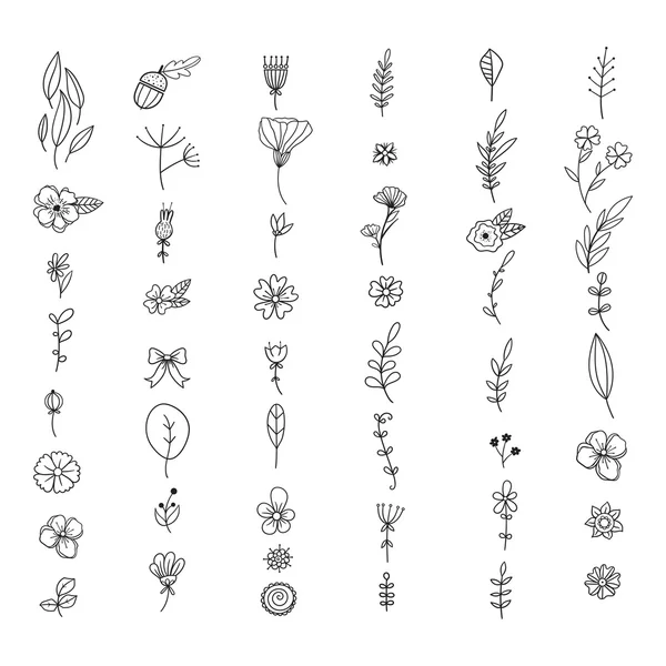 Ensemble de fleurs et plantes gribouillées dessinées à la main . — Image vectorielle