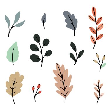 Elle çizilmiş sonbahar yeşillik vektörü koleksiyonu.