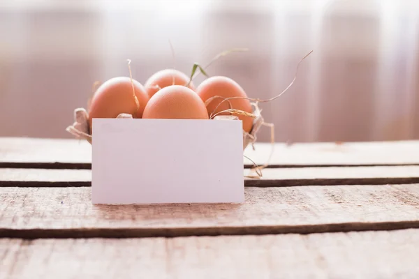 Easter eggs photo composition — Stock Photo, Image