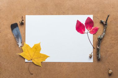 Kimlik ve zanaat mockup Retro filtre efekti ile ayarla