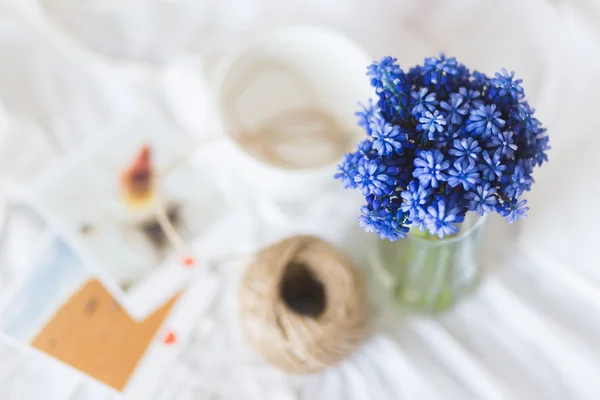 멋진 블루 봄 꽃 사진 — 스톡 사진