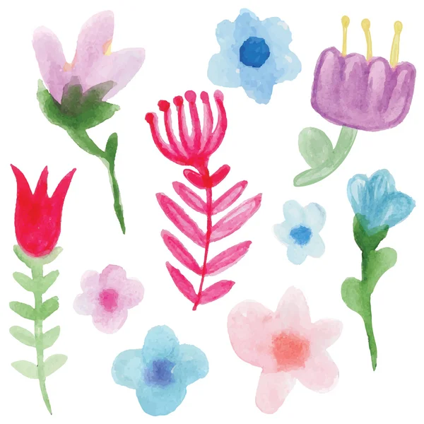 Éléments floraux, plantes, fleurs ensemble — Image vectorielle