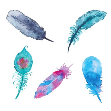 Sulu boya dekoratif tüyler seti.