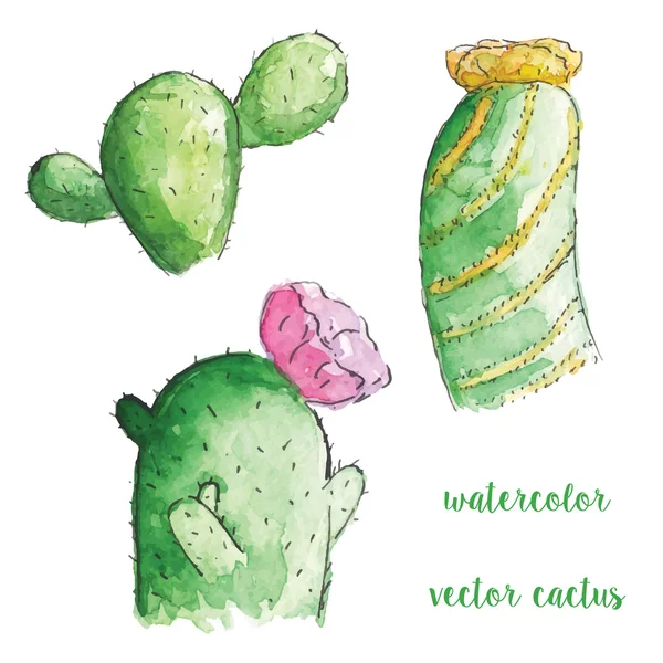 Conjunto de cactus acuarela — Vector de stock