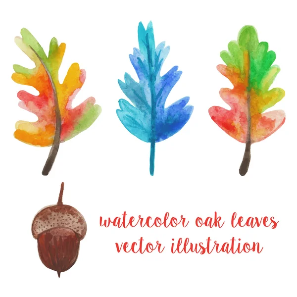 Watercolor oak leaves and acorn. — Stock Vector