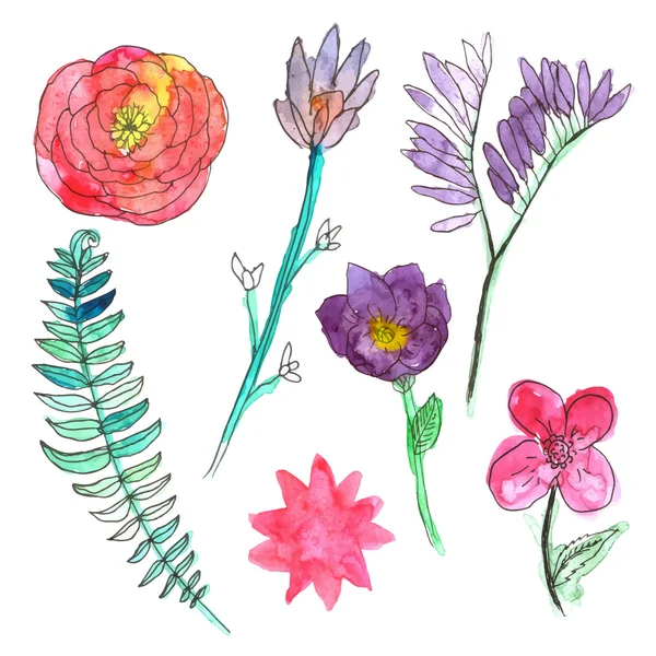 Ensemble de fleurs aquarelle, plantes . — Image vectorielle