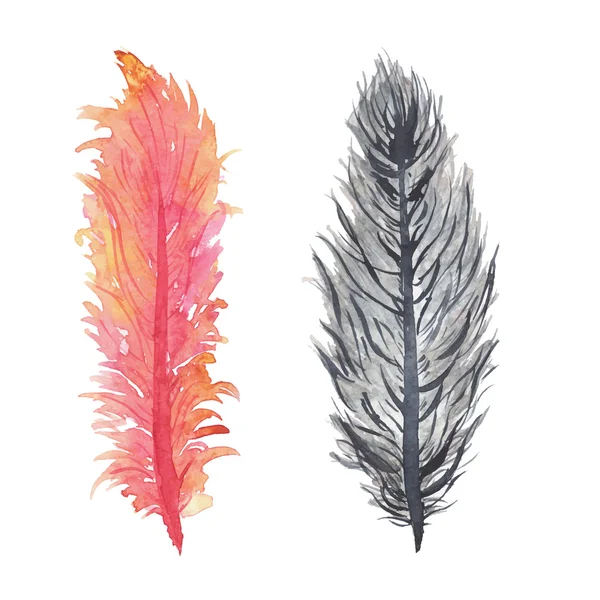 Acuarela plumas decorativas . — Vector de stock