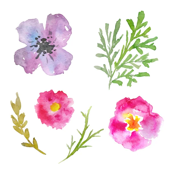 Ensemble de fleurs aquarelle, plantes . — Image vectorielle