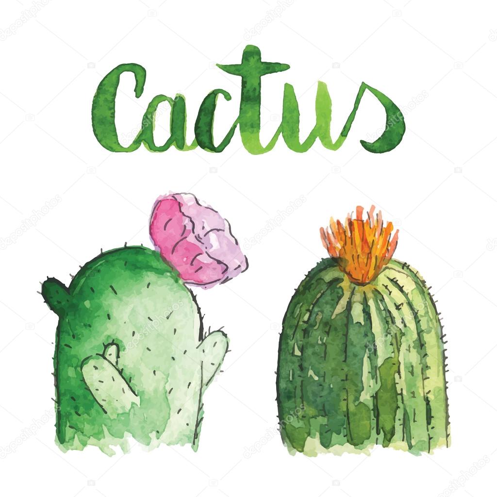 watercolor cactus set