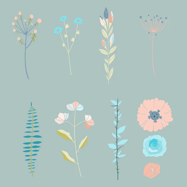 Set van bloemen, decoratieve elementen — Stockvector