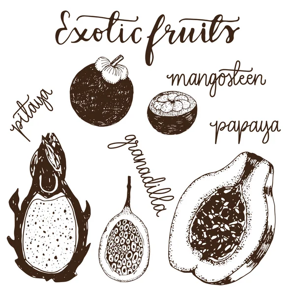Set of exotic fruits icons — 图库矢量图片