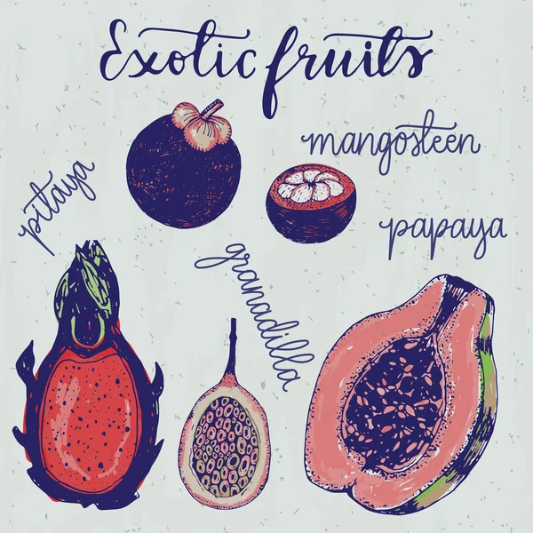 Set of exotic fruits icons — Stok Vektör