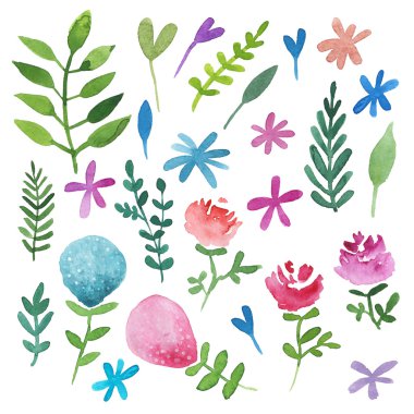 Suluboya bitki ve çiçek el boyalı.