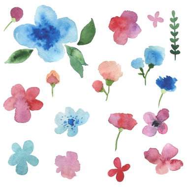 Suluboya bitki ve çiçek el boyalı.