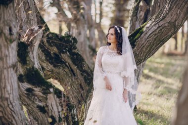 Harika düğün günü