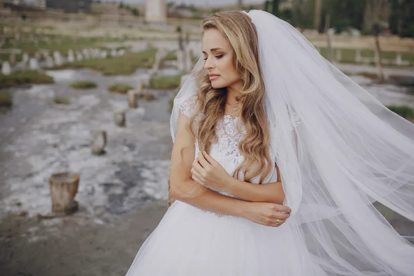 Giorno del matrimonio a odessa — Foto Stock