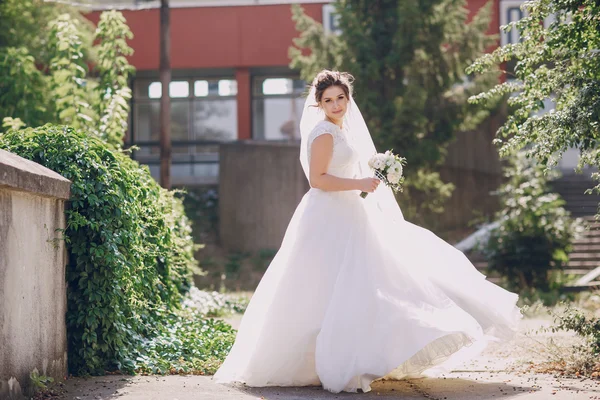 Wedding day HD — Stock Photo, Image