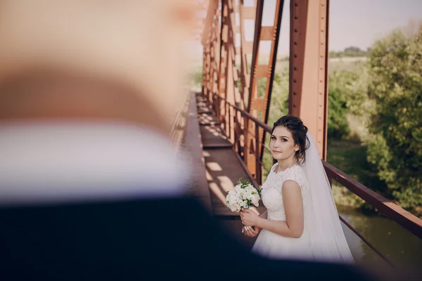 Wedding day HD — Stock Photo, Image