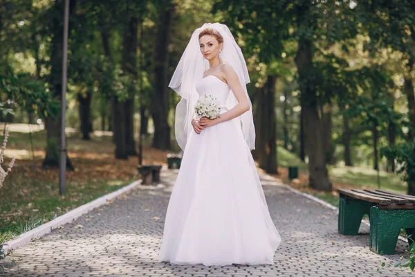 Dia do casamento hd — Fotografia de Stock