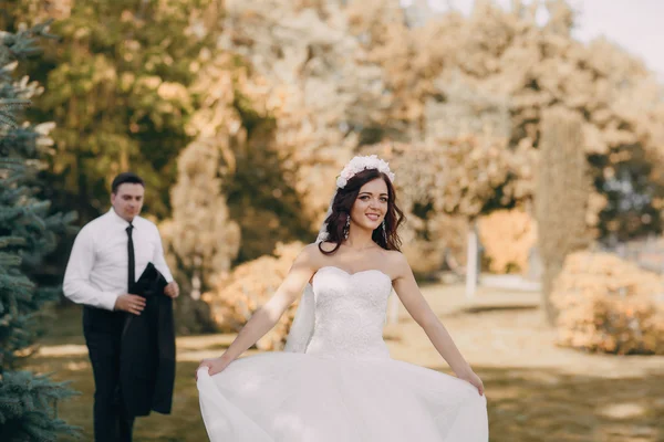 Dia de casamento festivo mágico — Fotografia de Stock