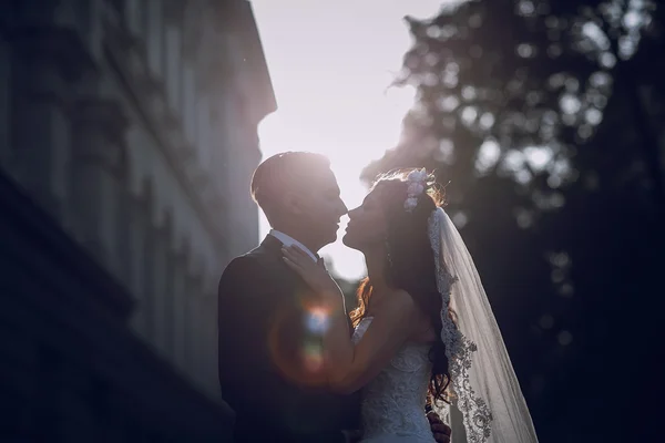 Dia do casamento hd — Fotografia de Stock