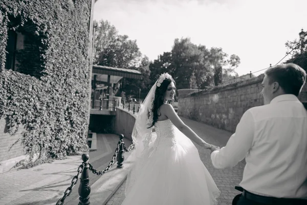 Día de la boda HD — Foto de Stock