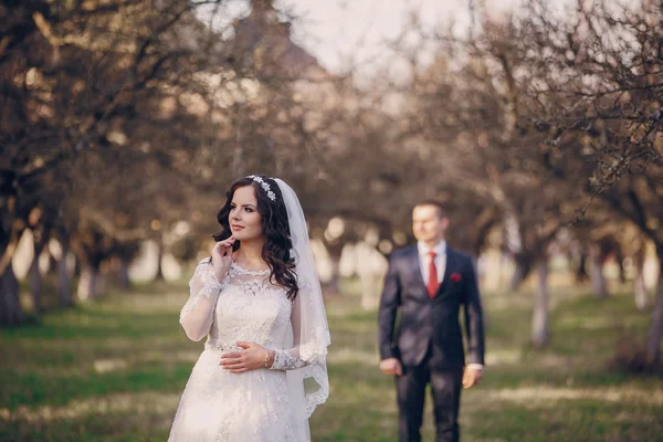 Wonderful wedding day — Stock Photo, Image