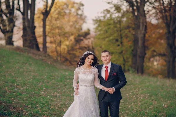 Wspaniałe ślubu — Zdjęcie stockowe