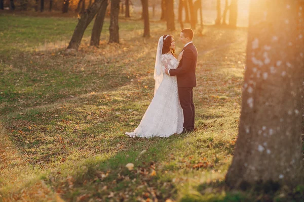 Maravilloso día de boda — Foto de Stock