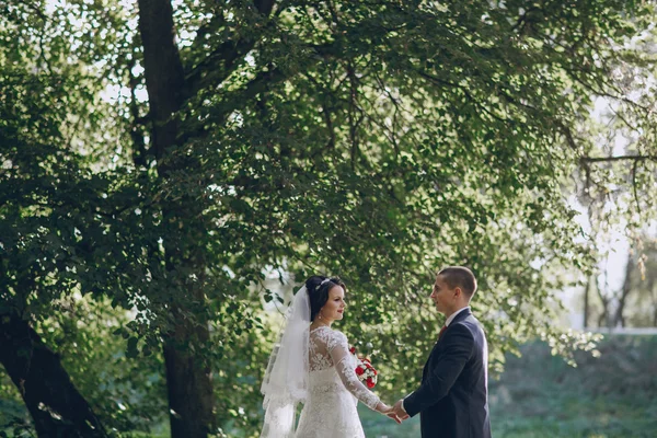 Wonderful wedding day — Stock Photo, Image