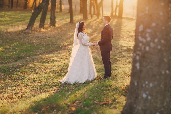 Meraviglioso giorno del matrimonio — Foto Stock