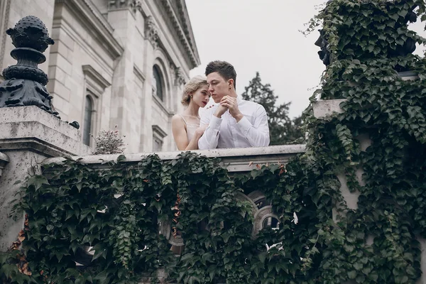 婚礼那天在布达佩斯 — 图库照片