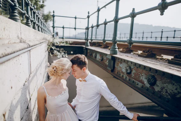 Wedding day in Budapest — Stock Photo, Image