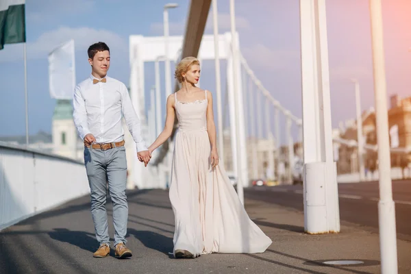 Giorno del matrimonio a Budapest — Foto Stock